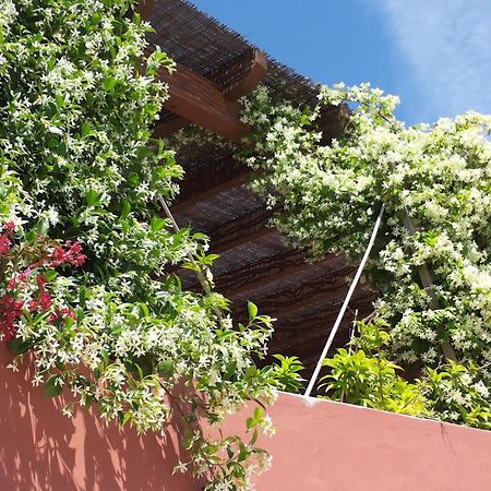 Gato Preto De Silves - Adults Only Bed & Breakfast Eksteriør bilde