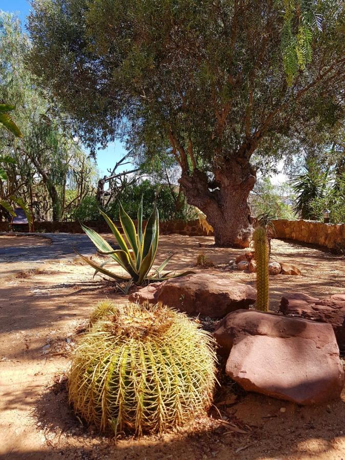 Gato Preto De Silves - Adults Only Bed & Breakfast Eksteriør bilde